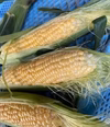 とうもろこし　訳あり品　ゴールドラッシュ！　今年購入最終チャンス！