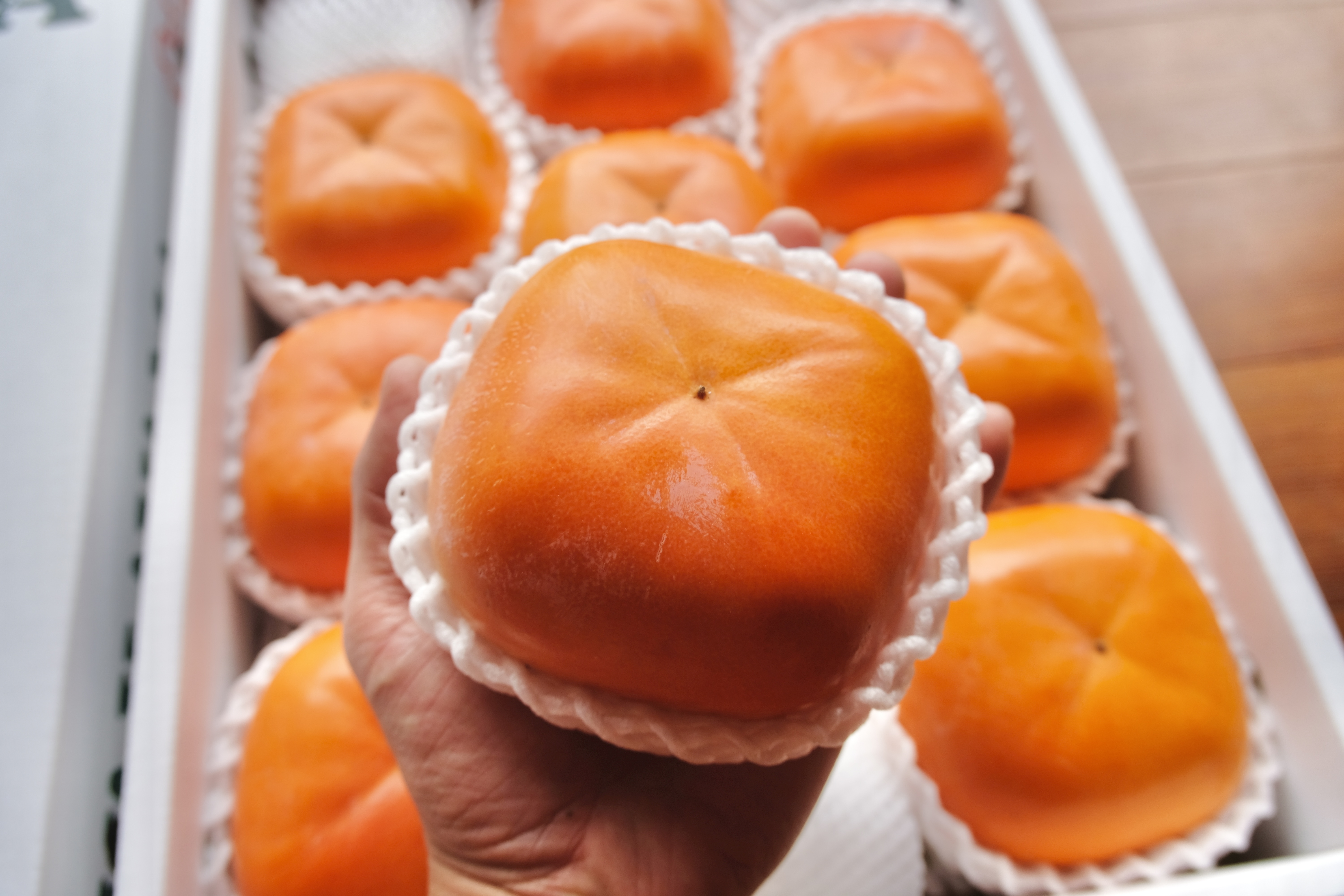 [大玉高級柿のお得用]糖度保証付き 紀の川柿|贈答品質をご家庭で 訳あり5個入り(約2㌔)ロゴあり箱