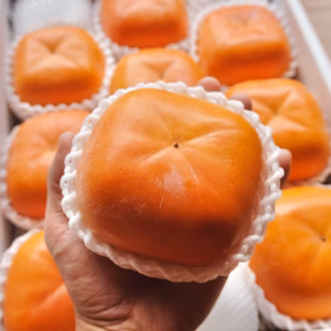 【大玉高級柿のお得用】糖度保証付き 紀の川柿｜贈答品質をご家庭で