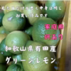 有田産グリーンレモン レモン  見た目だけ訳あり和歌山 お買い得品