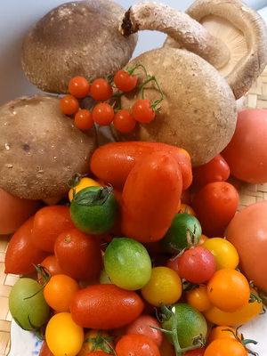 みんなの投稿の画像