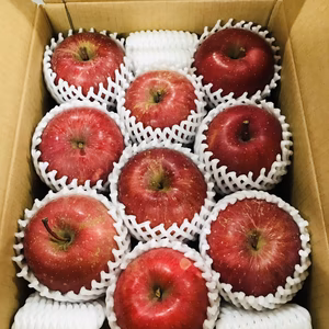 人気商品！青森県産りんご「サンふじ」わけあり品 3kg~