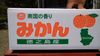 南国の島　徳之島の極早生みかん　ティダのめぐみ　家庭用