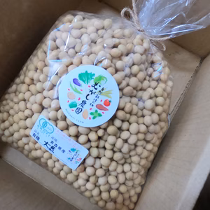 【予約販売開始！希少！青森県産有機大豆１キロ】遺伝子組み換え技術不使用