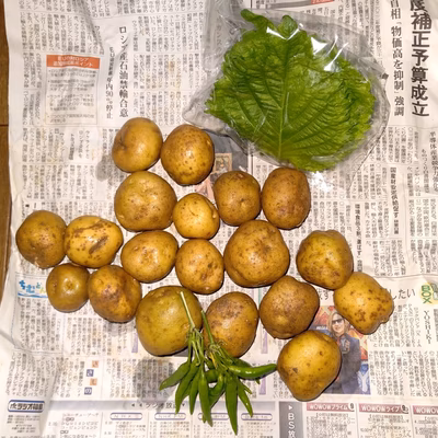 みんなの投稿の画像