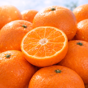 【ミシュラン御用達】正統血統が生んだロイヤルプリンセス『はれひめ』大容量約3㎏