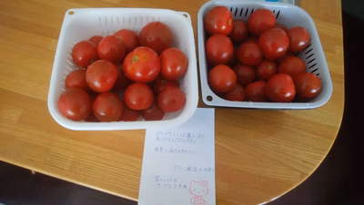 みんなの投稿の画像