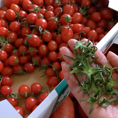 みんなの投稿の画像