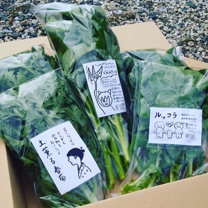 ルッコラと春菊と空芯菜のセット(計5袋)