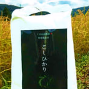 【精米】 一粒一粒に甘みがぎゅっと詰まった「特別栽培余呉コシヒカリ」