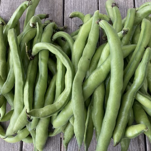 ファーベ（イタリアそらまめ）1キロ　数量限定