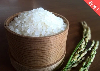一等米！低農薬の新米コシヒカリ白米９ｋｇ（２袋に小分け）