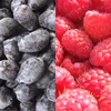 【有機JAS取得】ベリー農家こだわり北海道十勝産ハスカップ＆ラズベリー（冷凍）