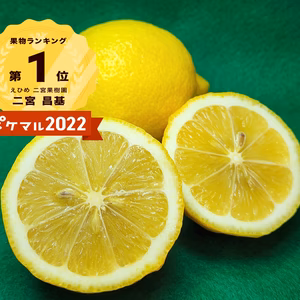 濃い濃い恋レモン　味の濃さで任期