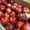 青森県産りんご『紅玉』小玉【家庭用】