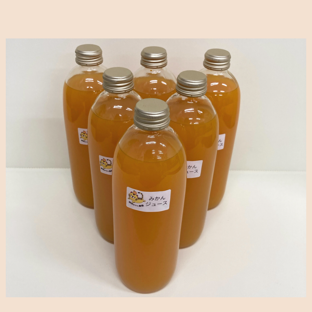 数量限定☆温州みかん100% 搾りたてのジュース 500ml× 6本 みかんジュース 500㎖×6本