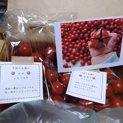 みんなの投稿の画像