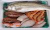 専用【極鮮】漁師厳選！！鮮魚BOX４～６種３㎏以上