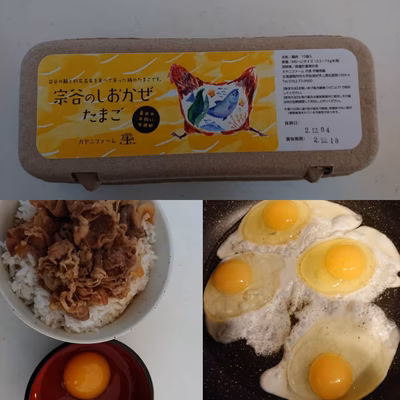 みんなの投稿の画像