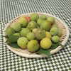 ※（規格外品）青梅（南高・白加賀ほか）サイズ混合、梅ジュースなど加工用　