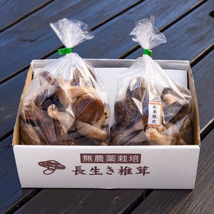 【冬季限定】二種の椎茸味くらべセット