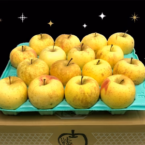 「有袋!金星!! 」家庭用約4.5Kg青森県産 数量限定　金星　きんせい