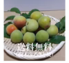 百姓泣かせ梅（３L・４Lサイズ・規格外品）和歌山県産