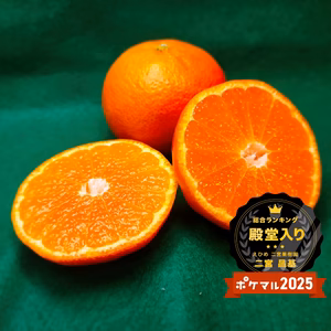 殿堂入り記念セール　みかんＳサイズ　記念価格