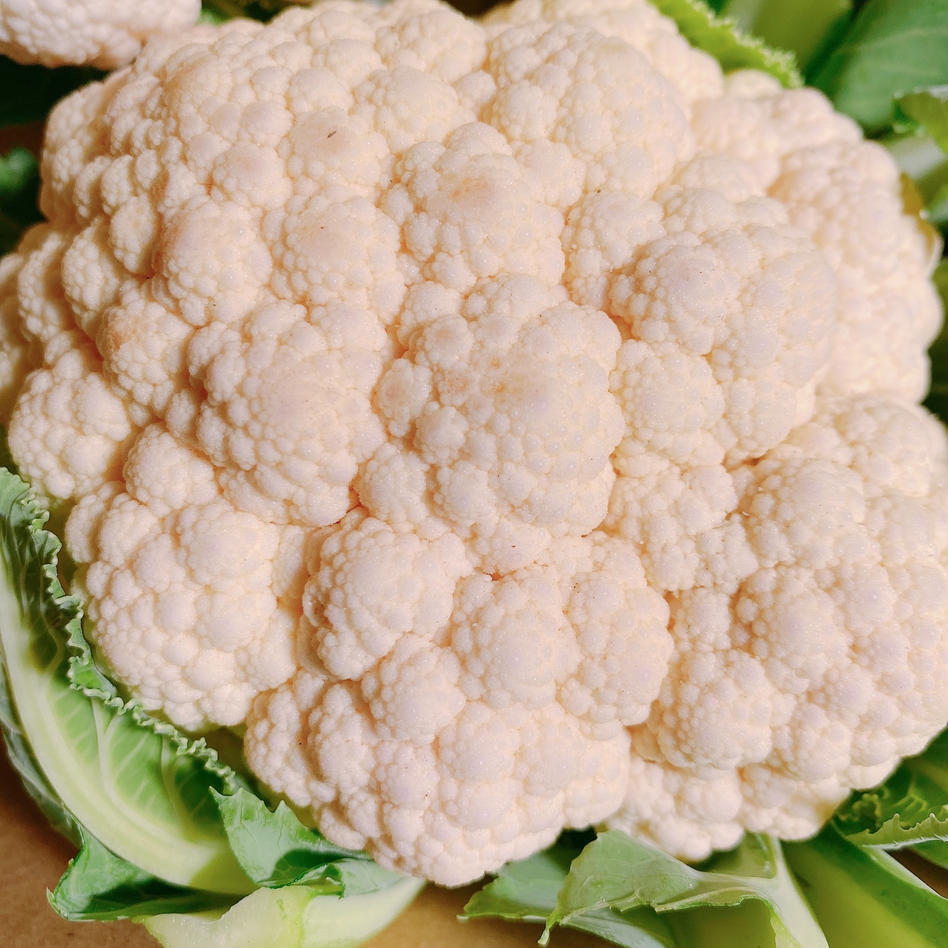 格安saleスタート カリフラワー様専用 ニット セーター Www Marinemastertrailers Com