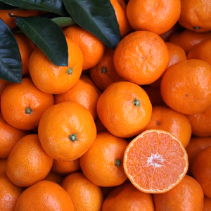 【2026年1月発送】農家直送！有田みかん2㎏～≪Mサイズ 秀品≫【平武農園】