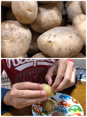 みんなの投稿の画像