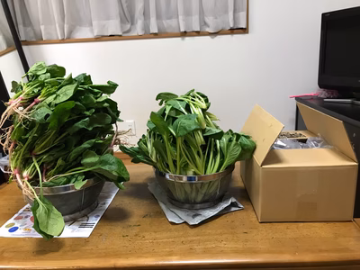 みんなの投稿の画像