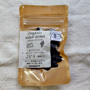 【自然栽培】南アルプスの有機干し葡萄 小公子(種あり) 30g～