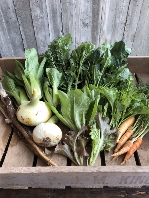 【無農薬】旬の野菜Sセット（1〜2人分）六月農園