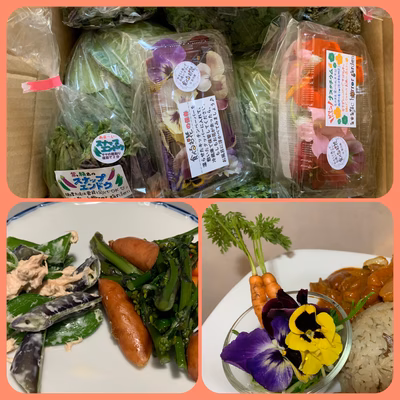 みんなの投稿の画像