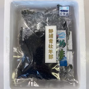 JF静浦漁協　豊漁セット（冷凍本えび・冷凍塩造わかめ・常温芽ひじき）