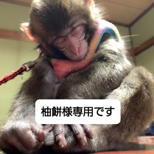 柚餅様専用です。