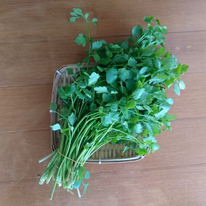 芳醇な香りのセリ 400gr+オマケ野菜付き