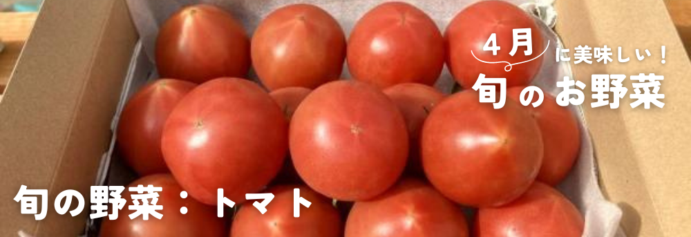 ４月に旬の果物：トマト