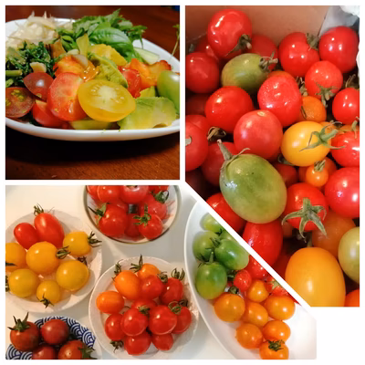 みんなの投稿の画像