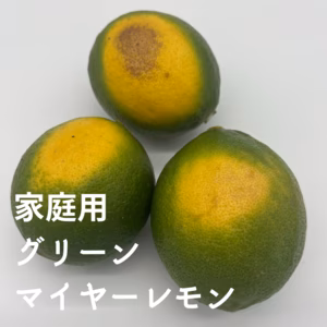 家庭用マイヤーレモン【2㎏・5㎏・10㎏】