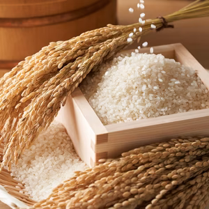 【一流リゾートホテル御用達】二千年の伝統幻の天照ブランド米☆お試し特価約2㎏