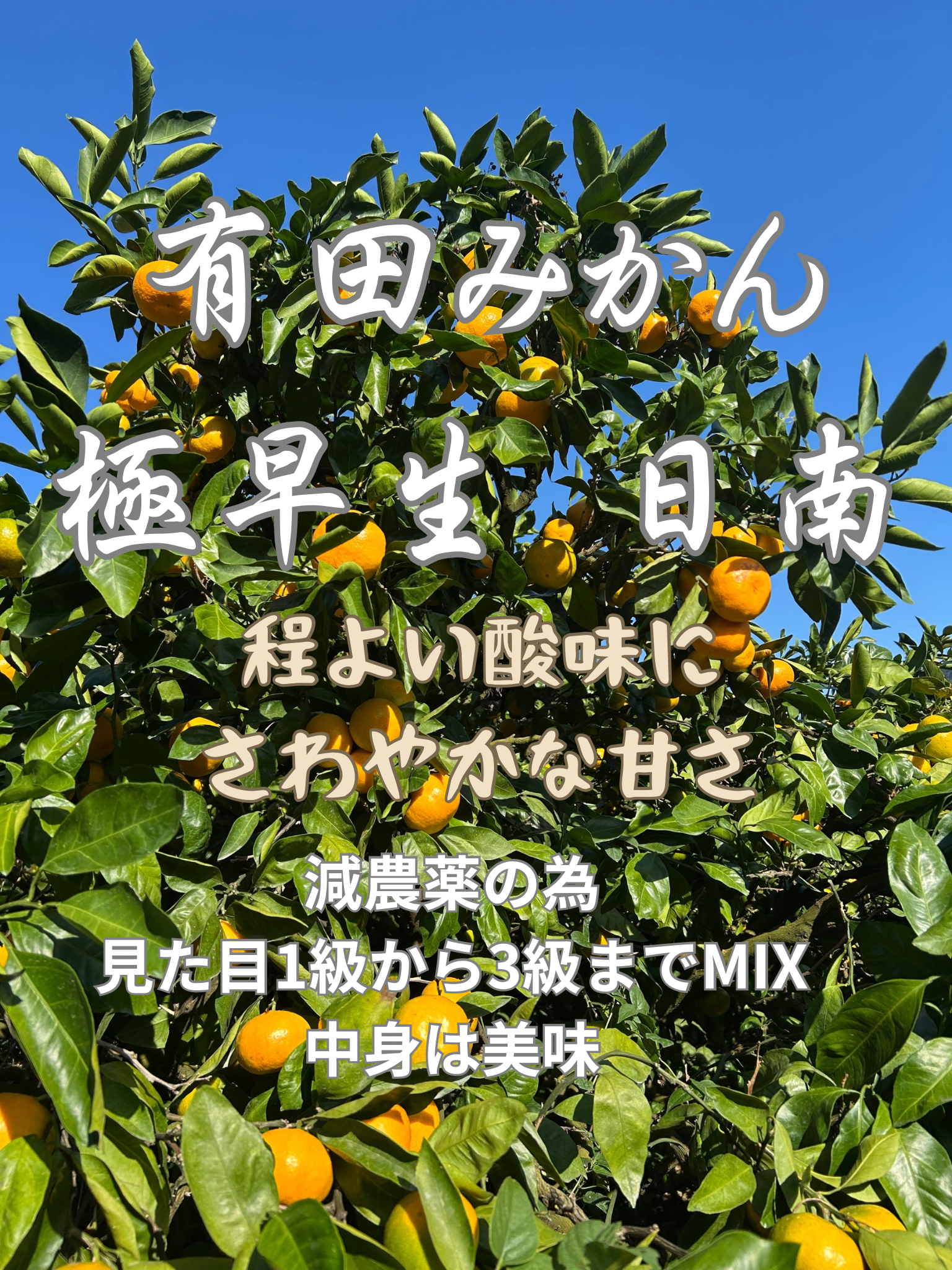 専用。④❤みかん＊数量限定❤ちびボアケット＊ポンチョけっと❤モジャ 専用。④❤みかん＊数量限定❤ちびボアケット＊ポンチョけっと❤モジャ