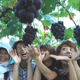 鈴木妃奈 | まほらファーム