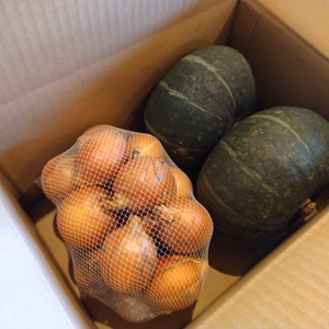 ■北海道ニセコ産■無農薬かぼちゃ、玉ねぎセット