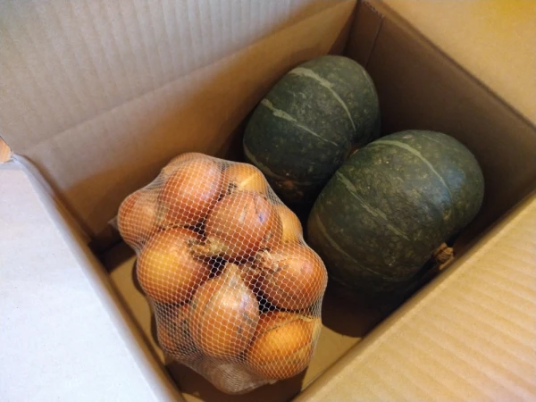 ■北海道ニセコ産■無農薬かぼちゃ、玉ねぎセット