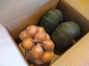 ■北海道ニセコ産■無農薬かぼちゃ、玉ねぎセット
