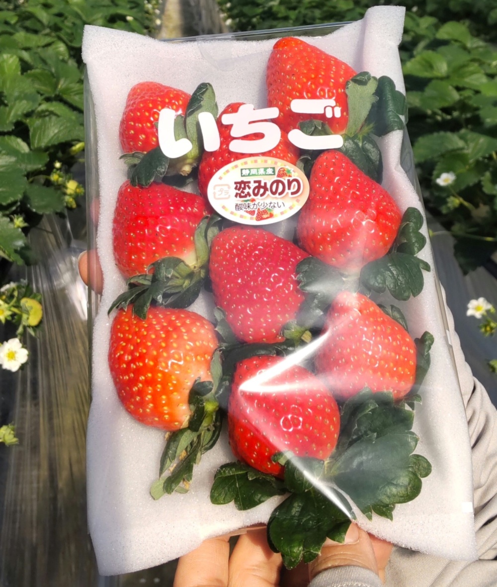 注目のブランド f_jpg 果物