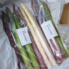 極太アスパラ2L~3Lガブッとかぶりつける食べごたえ