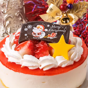 【冷凍ケーキ】クリスマス仕様スカイベリーショートケーキ【日付指定不可】